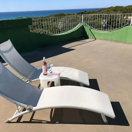 Magnifica Sulle Dune *