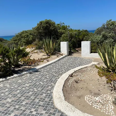 Villa Magnifica Sulle Dune