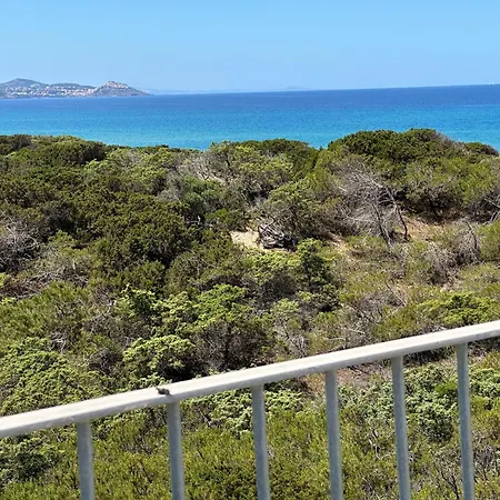 Magnifica Sulle Dune