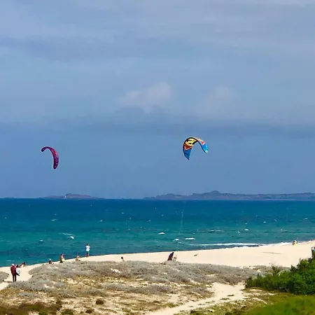 Magnifica Sulle Dune